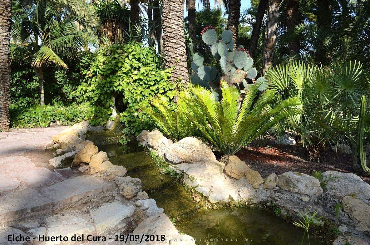 19 ELCHE HUERTO DEL CURA (84).JPG